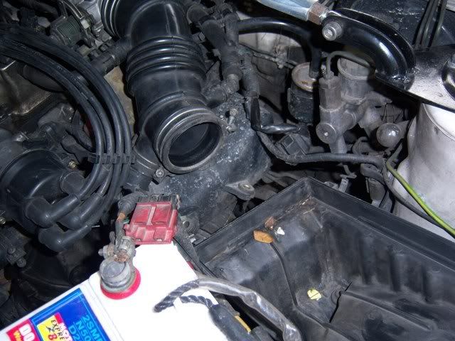 100_0709.jpg