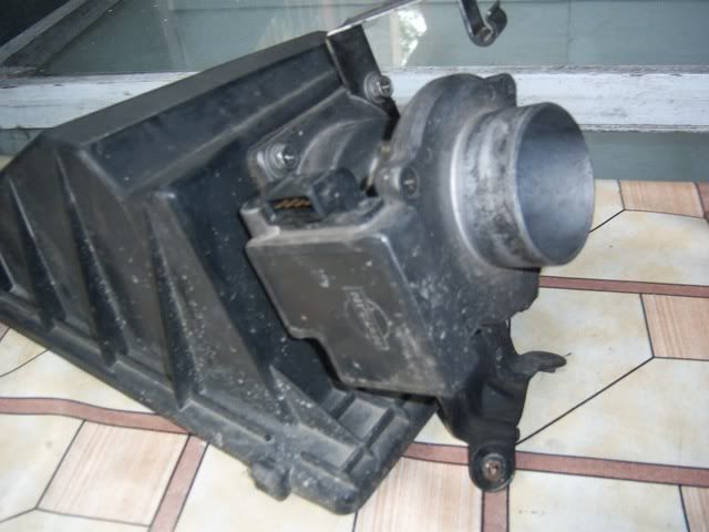 100_0710.jpg