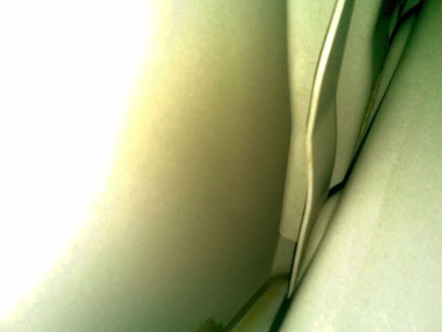 11012009006.jpg