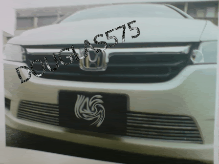 DSC0230999.gif