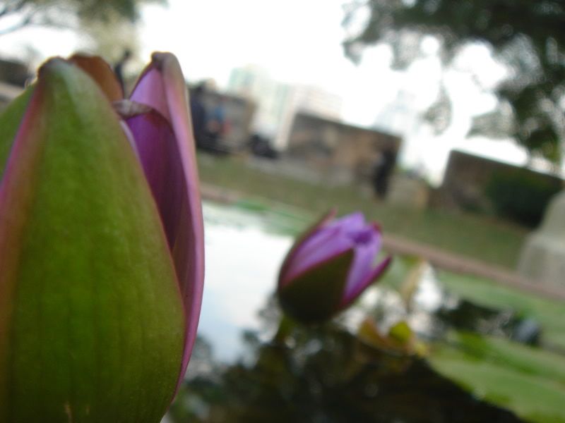 DSC03113.jpg