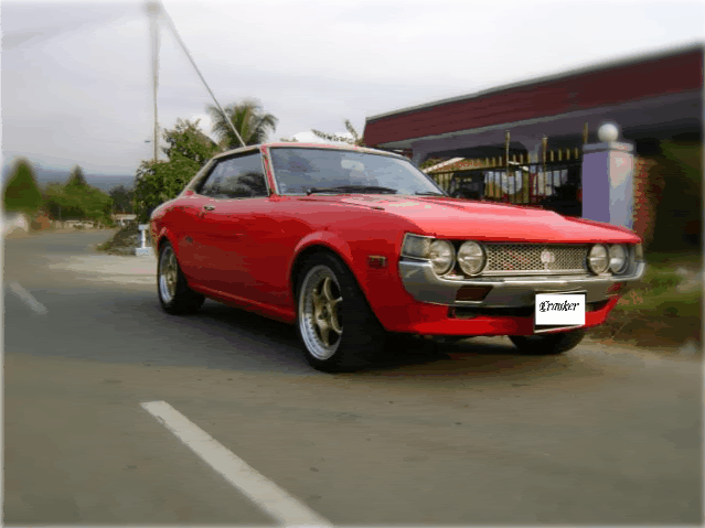 DSC03329.gif