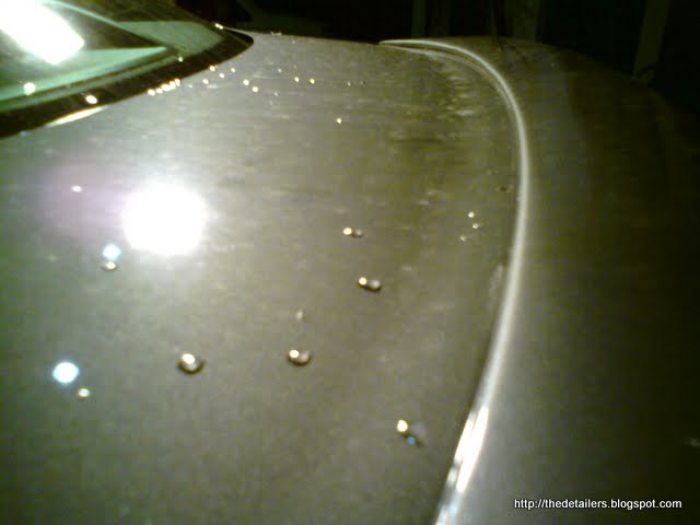 DSC09923.jpg