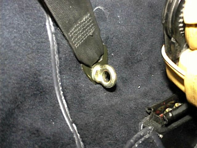 harness4.jpg