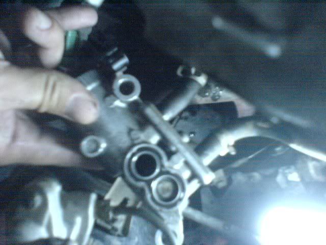 iacv5.jpg