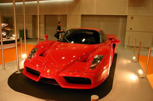IMG_1490.jpg