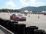 th_IMG_0878Medium.jpg