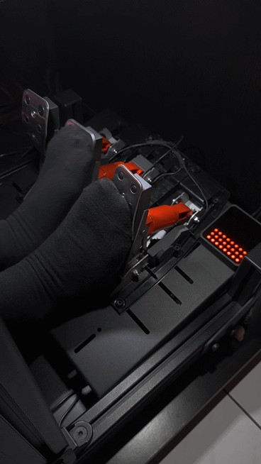 S1 Full Naked + Pedal Pressure Display for G29 G27 G25